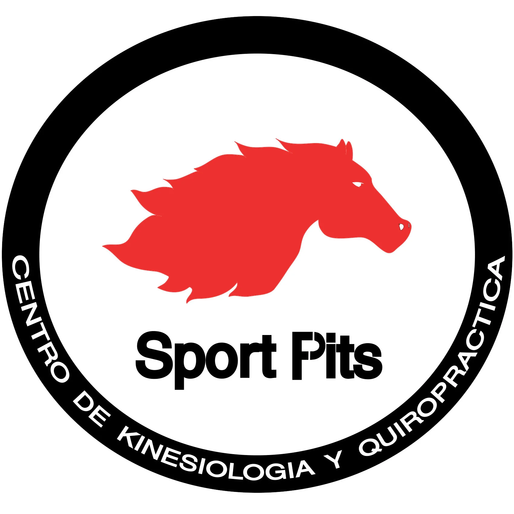 Sport Pits Centro de Kinesiologia y Quiropractica