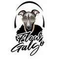 FLOW GALGO