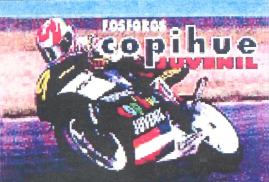 FOSFOROS COPIHUE JUVENIL