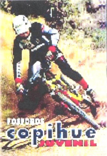 FOSFOROS COPIHUE JUVENIL