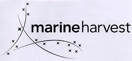 MARINE HARVEST