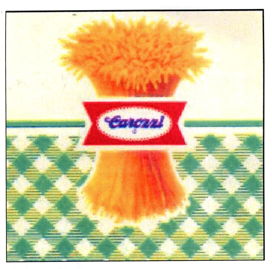 CAROZZI