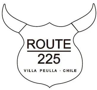 ROUTE 225 VILLA PEULLA CHILE