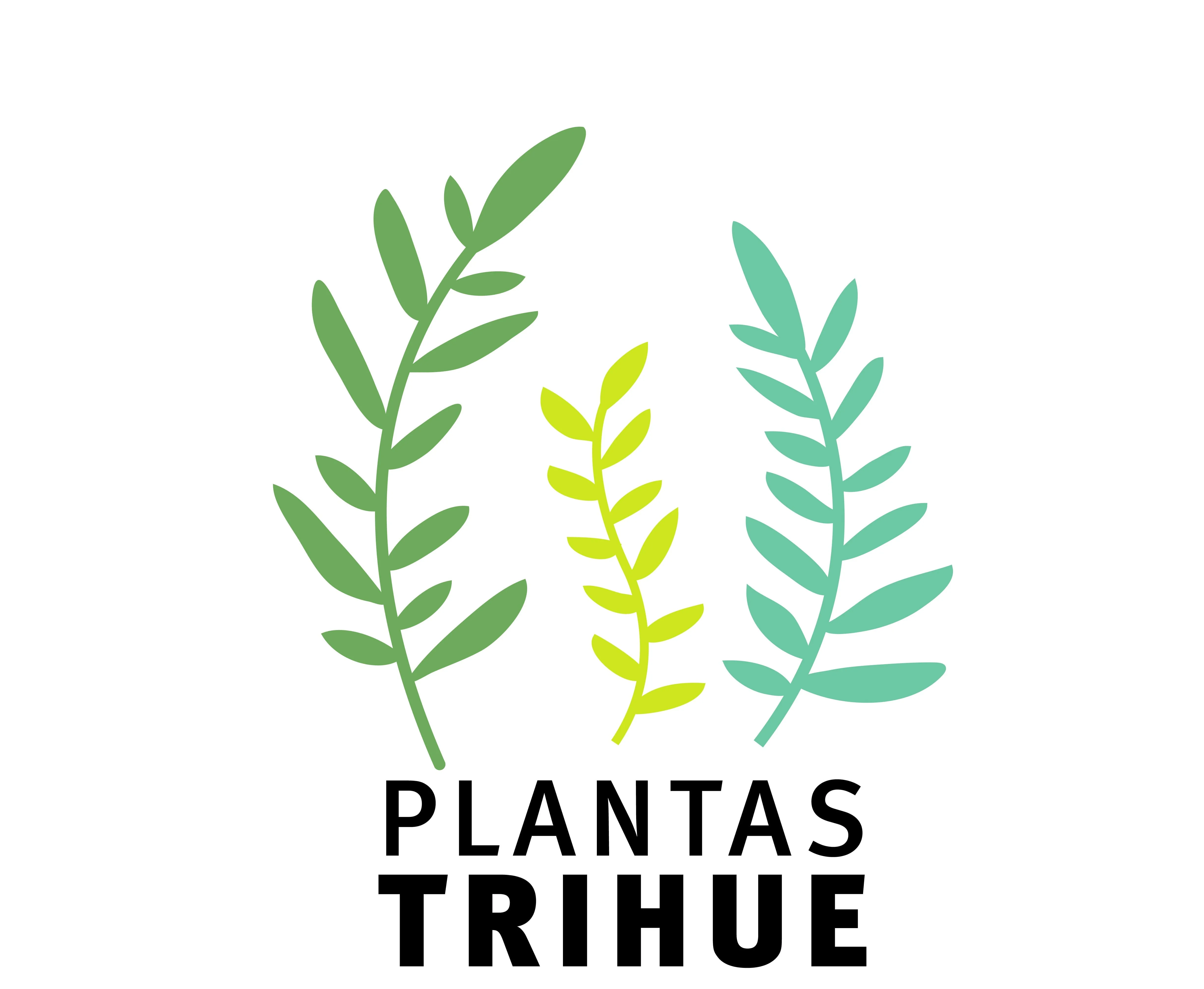PLANTAS TRIHUE
