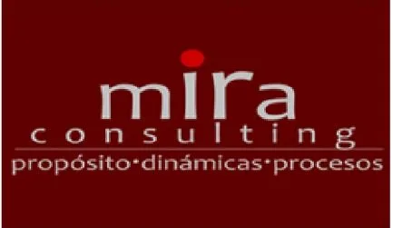 Mira Consulting