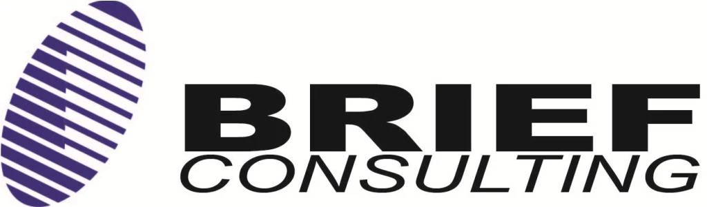 BRIEF CONSULTING