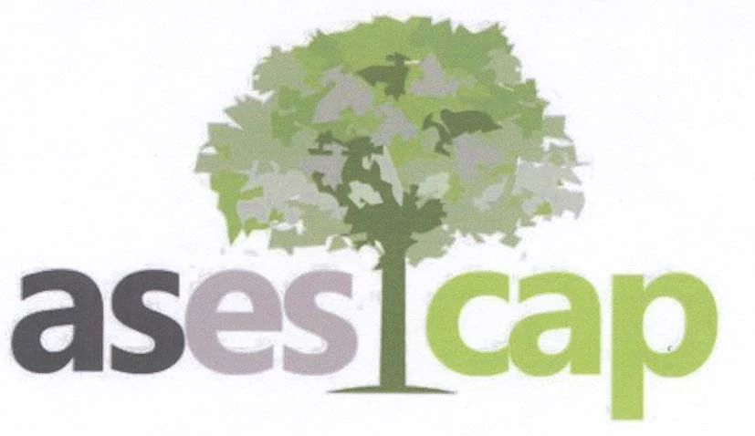ASESCAP