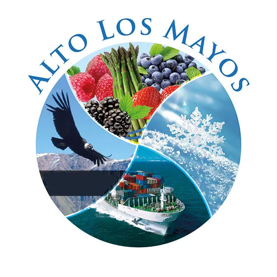 ALTO LOS MAYOS