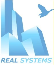 REAL SYSTEMS