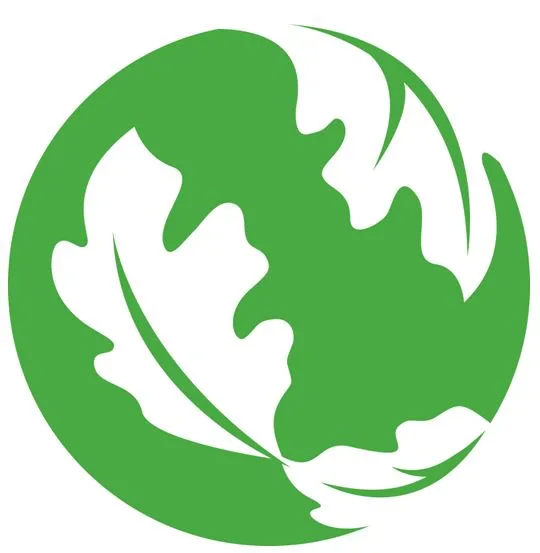 Acta 1159184
