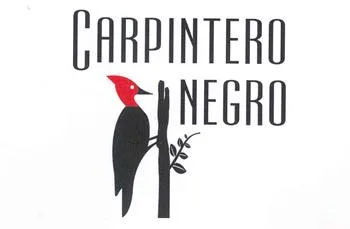 CARPINTERO NEGRO