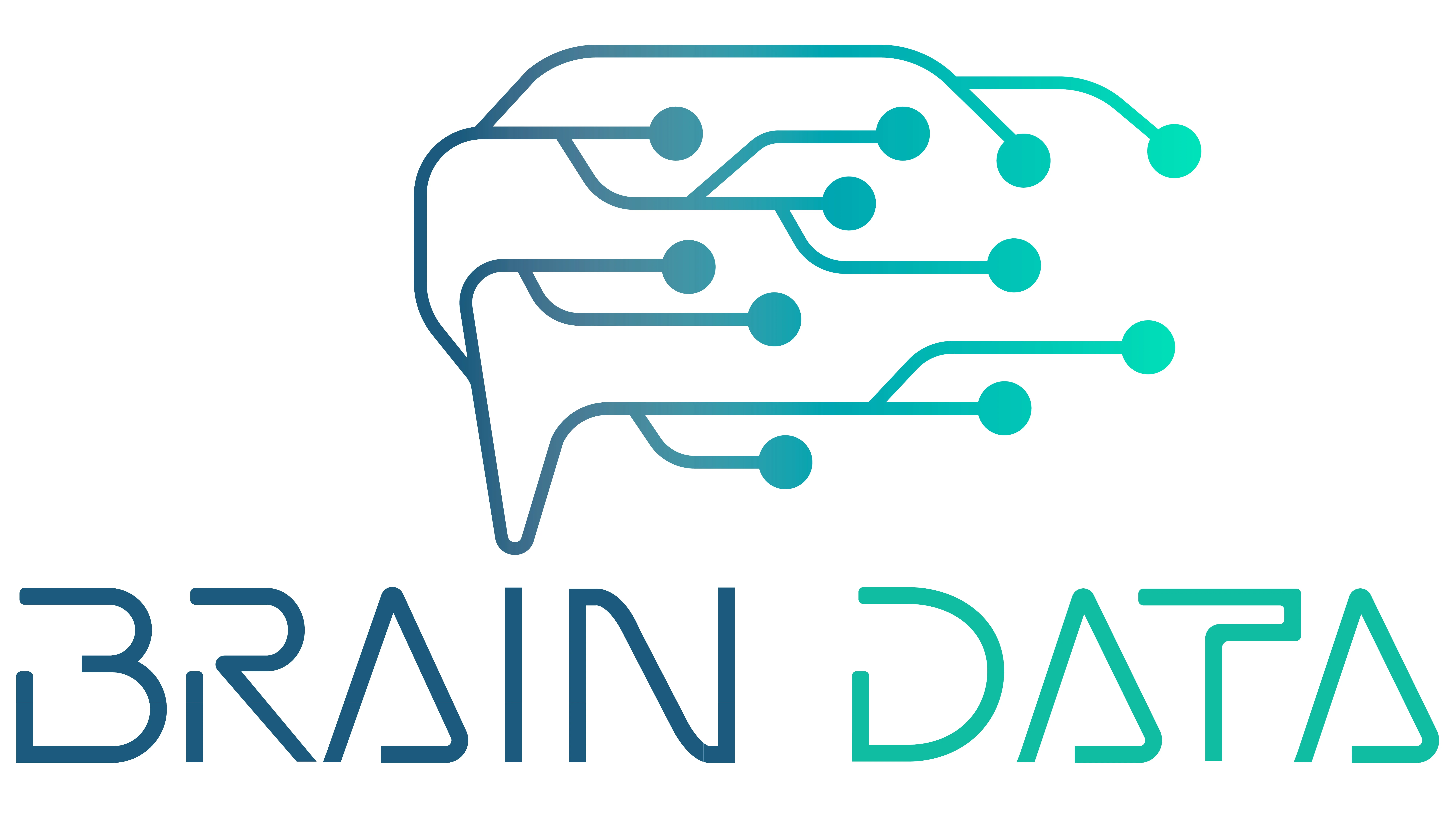 BRAIN DATA