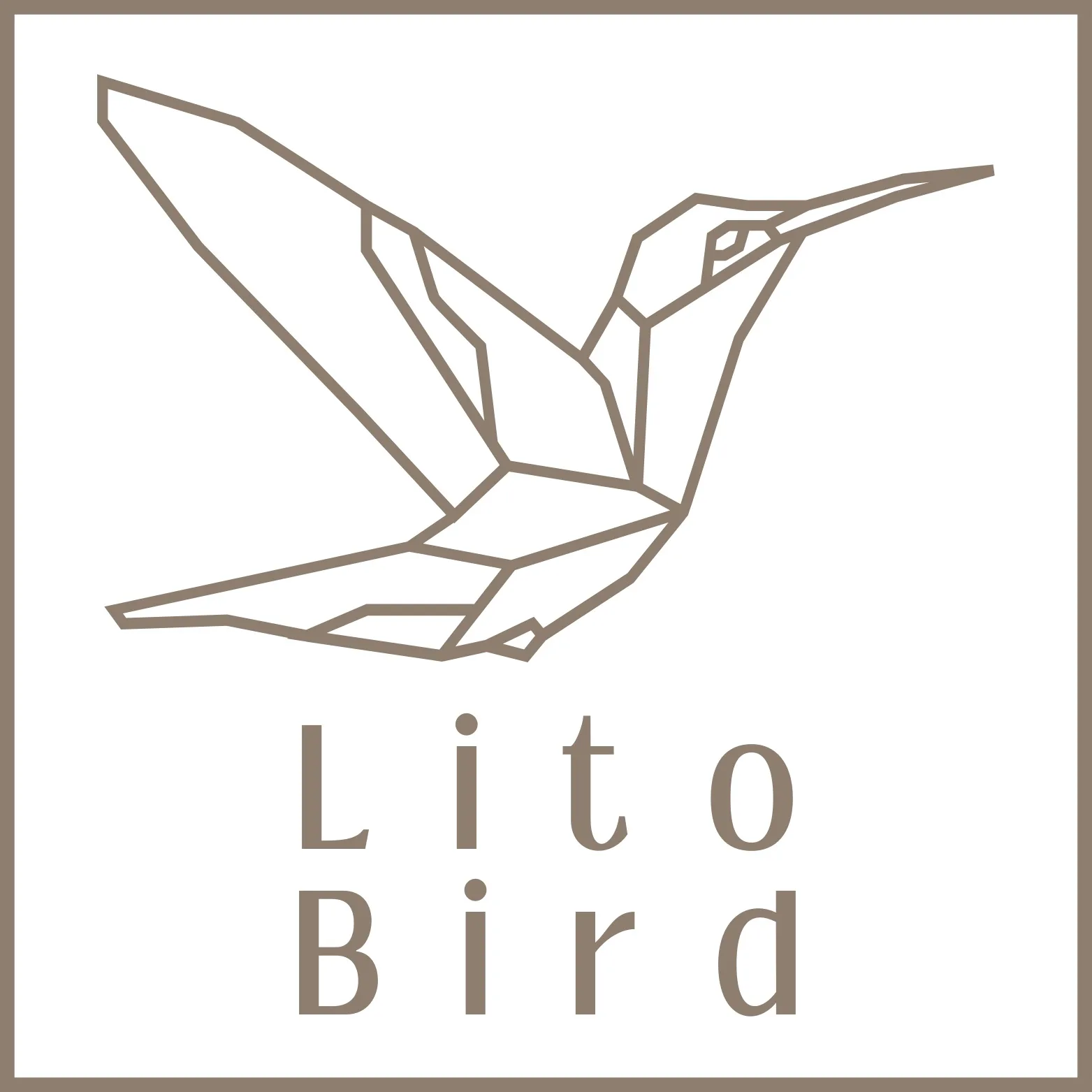 LITO BIRD