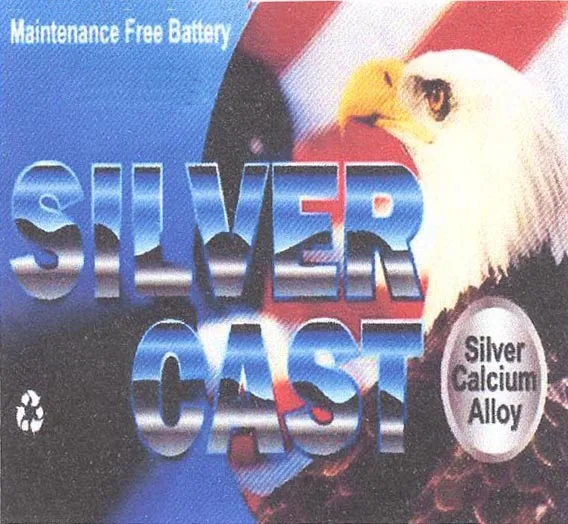 SILVER CAST