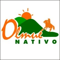 OLMUÉ NATIVO
