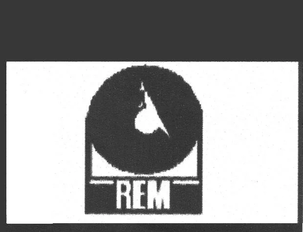 REM