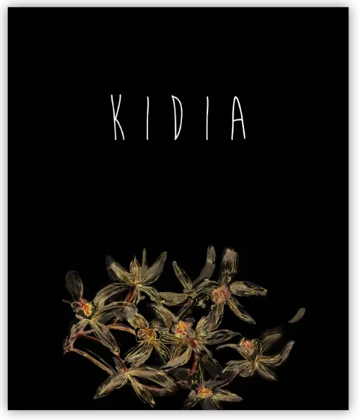 KIDIA
