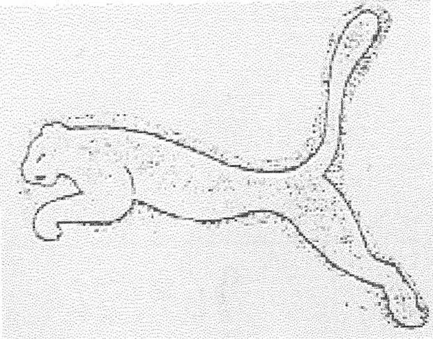 Acta 969186