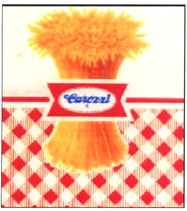 CAROZZI