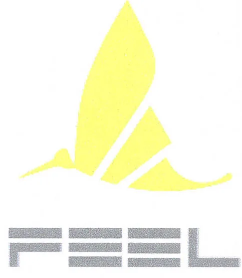 FEEL