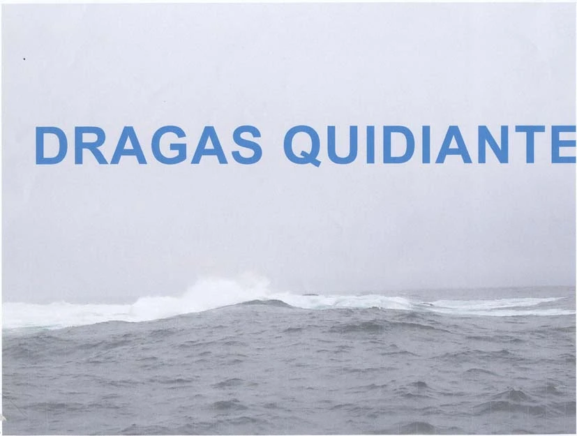 DRAGAS QUIDIANTE