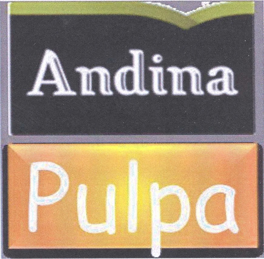 ANDINA PULPA