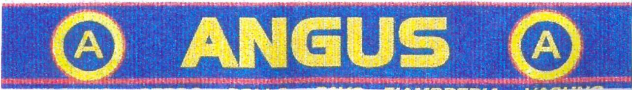 A ANGUS A