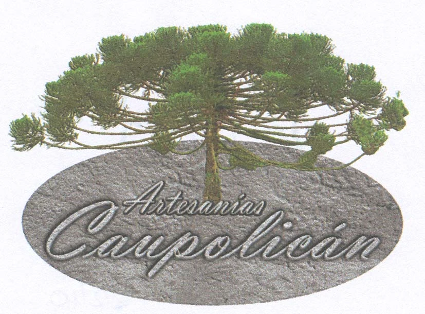 ARTESANIAS CAUPOLICAN