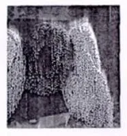 Acta 1034189