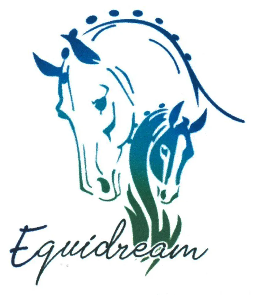 Equidream