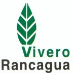 VIVERO RANCAGUA