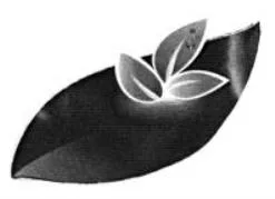 Acta 1238191