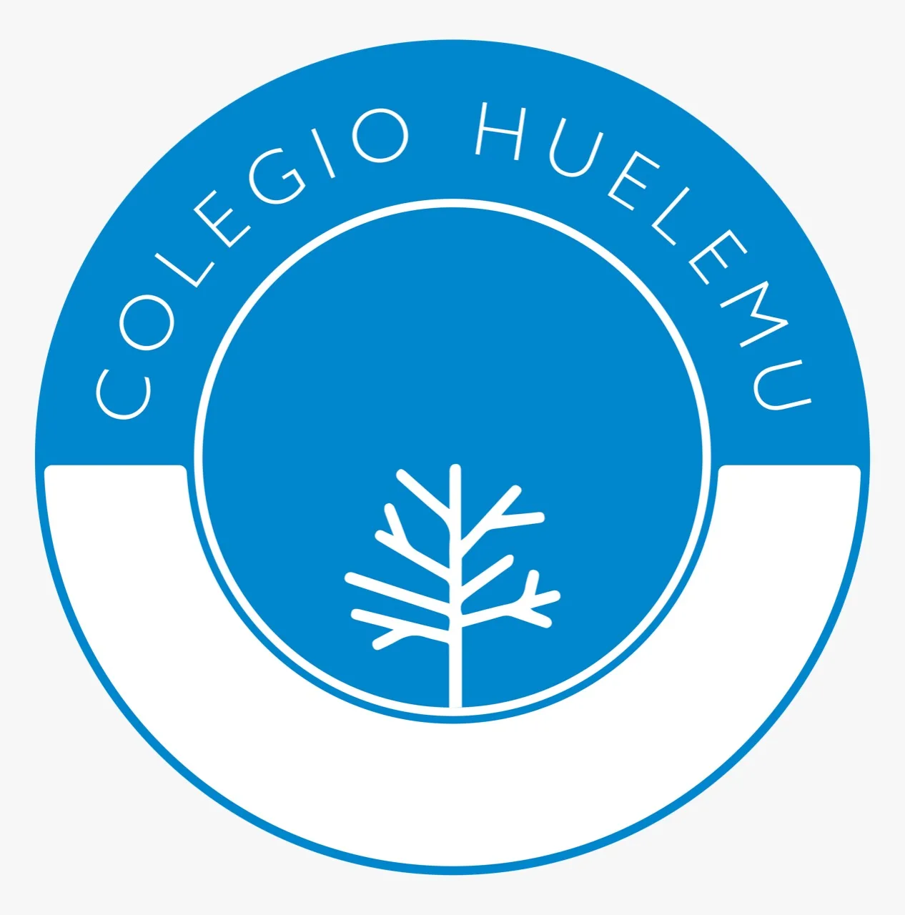 COLEGIO HUELEMU