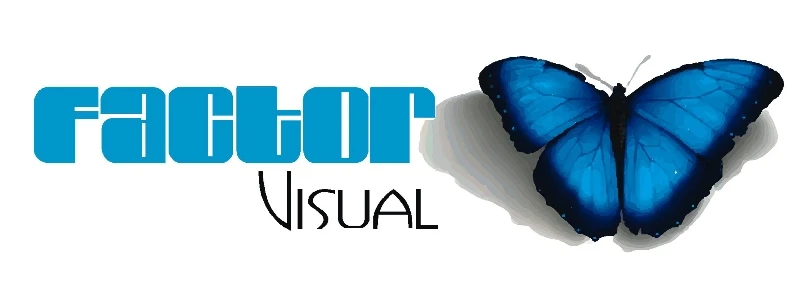 FACTOR VISUAL