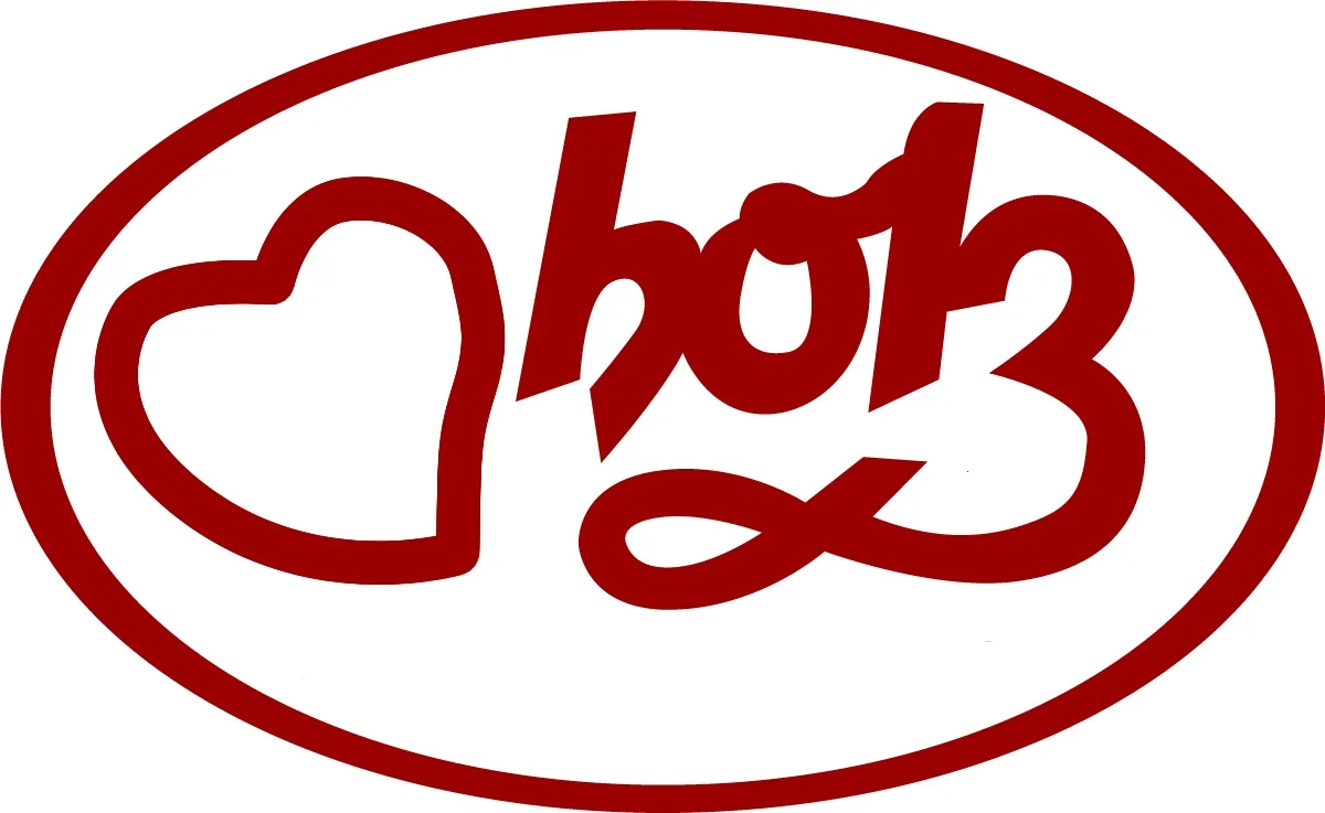 HOLZ