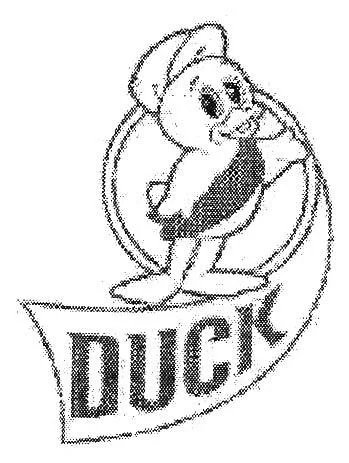 DUCK