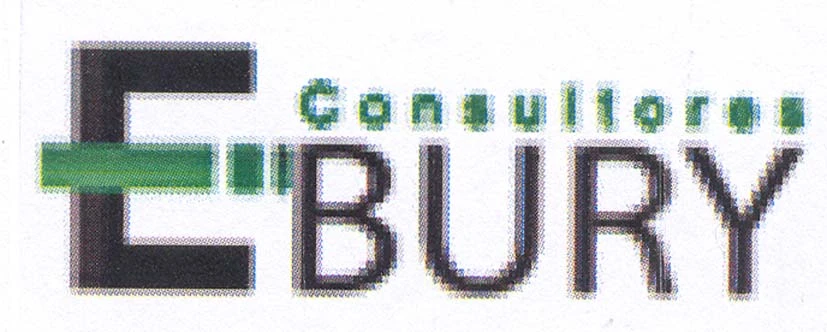 EBURY CONSULTORES