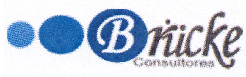 BRUCKE CONSULTORES