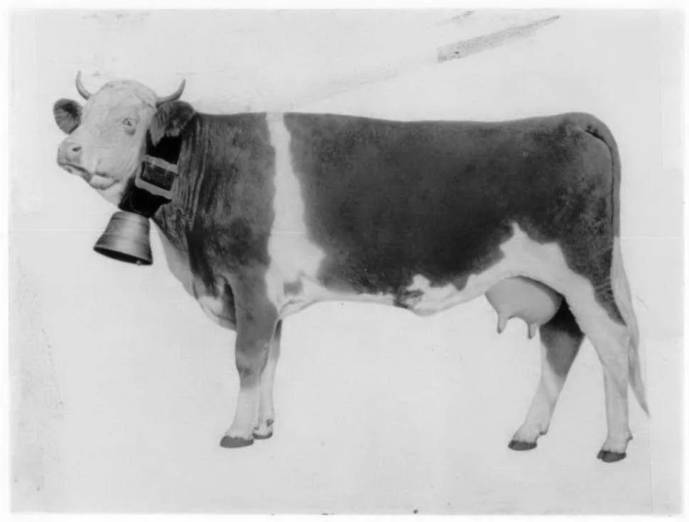 Acta 1074194
