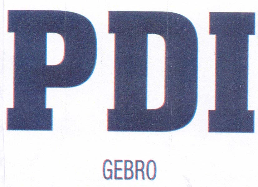 PDI GEBRO