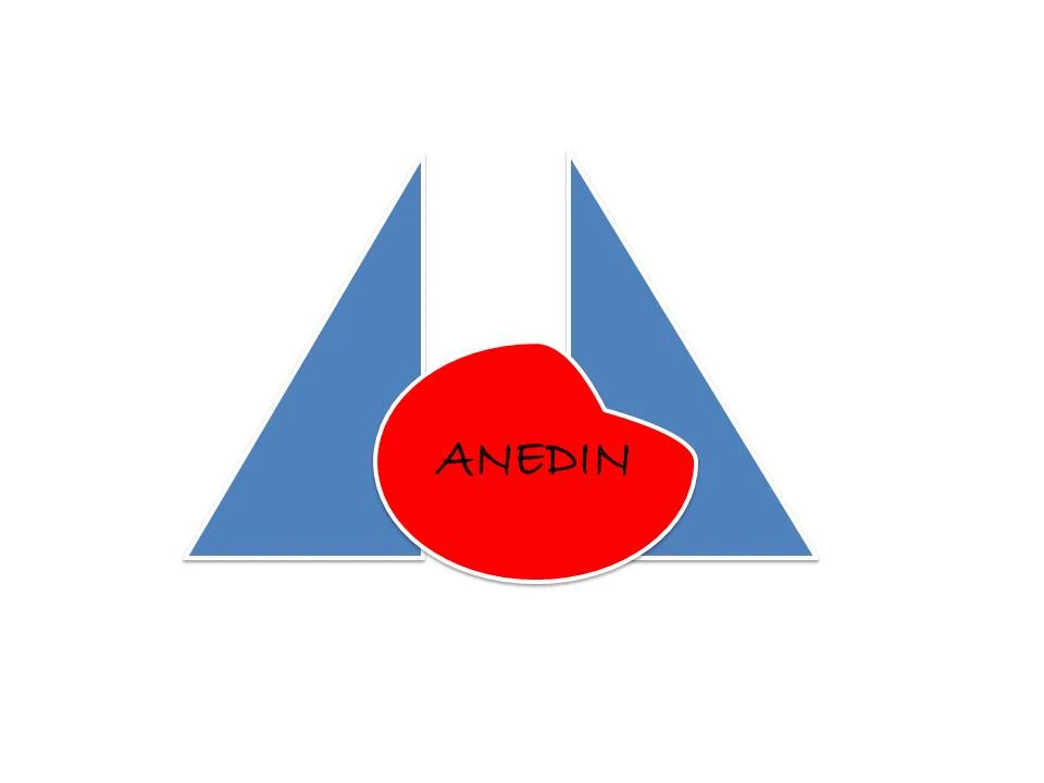 ANEDIN