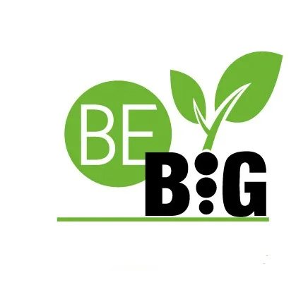 BEBIG