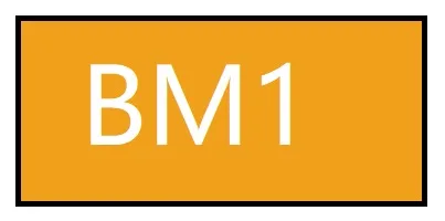 BM1