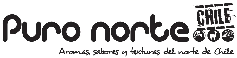 PURO NORTE CHILE