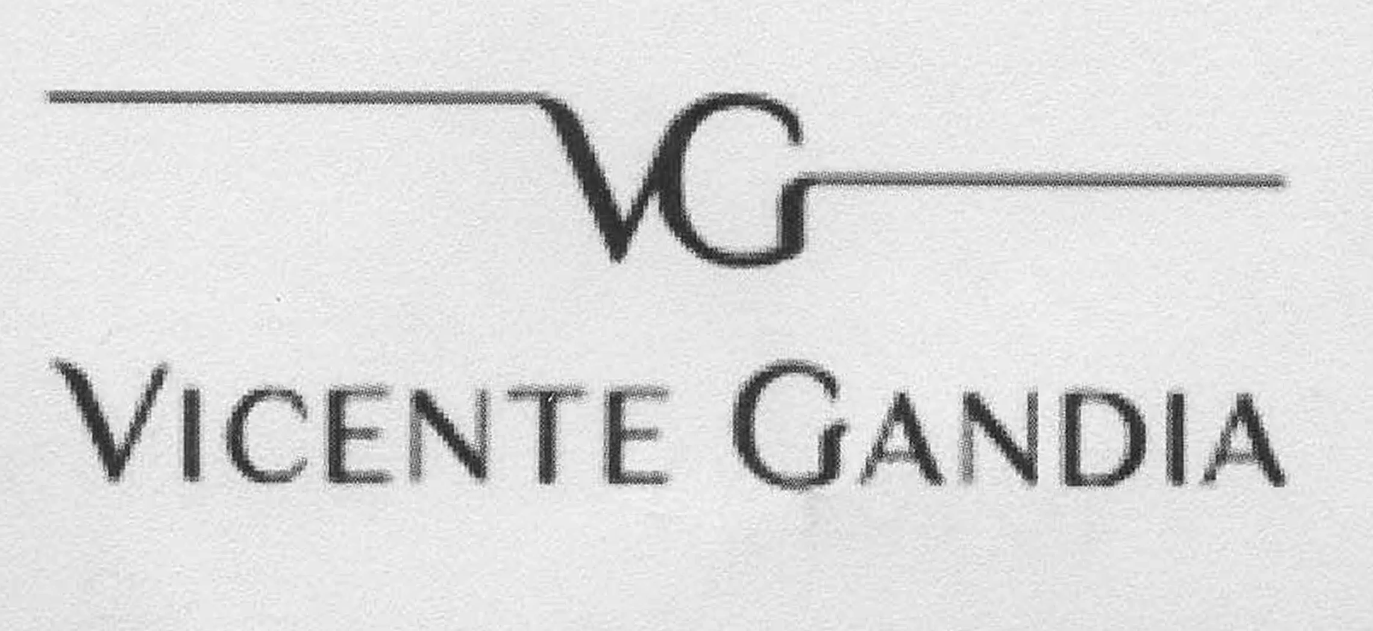 VG VICENTE GANDIA
