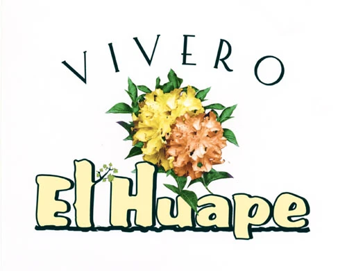 EL HUAPE