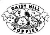 DAISY HILL PUPPIES