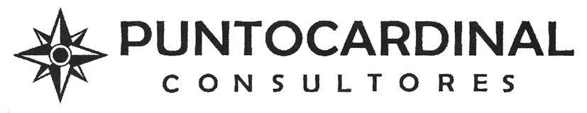 PUNTOCARDINAL CONSULTORES