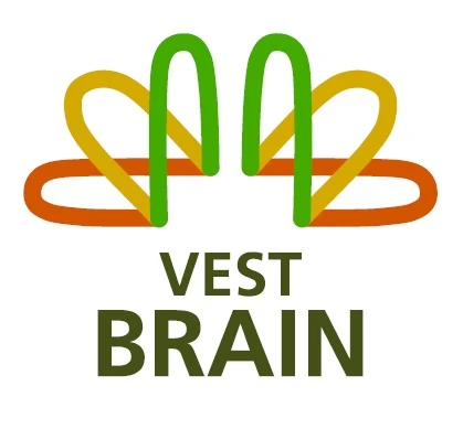 VEST BRAIN