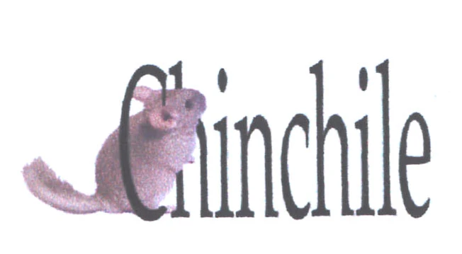 CHINCHILE